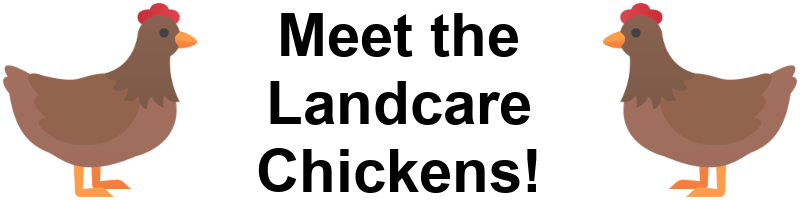 Two cartoon chickens flank the words 'Meet the Landcare Chickens!'